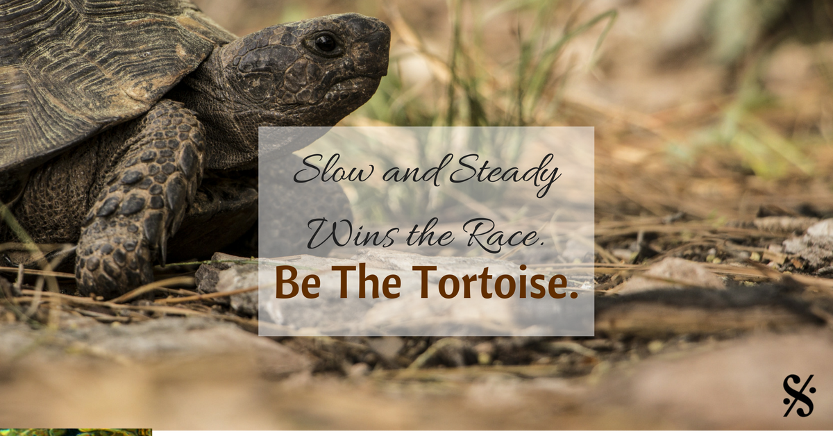 Be the Tortoise (a story to share with your band)