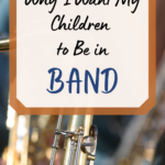 Reasons for Band